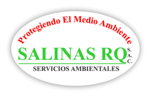 Logo Salinas nuevo