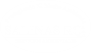 Salinas RQ Logo blanco